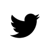 twitter icon